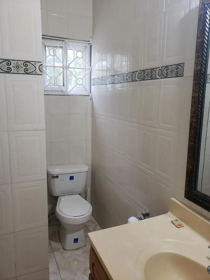 Wizzy Apartment Montego Bay