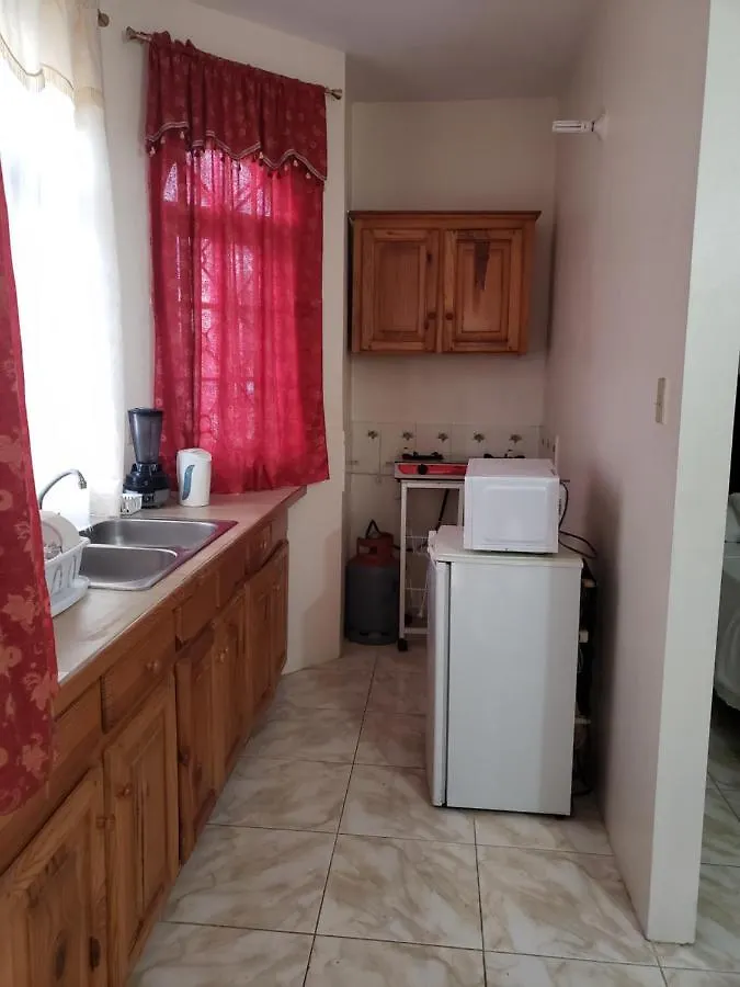 Wizzy Apartment Montego Bay